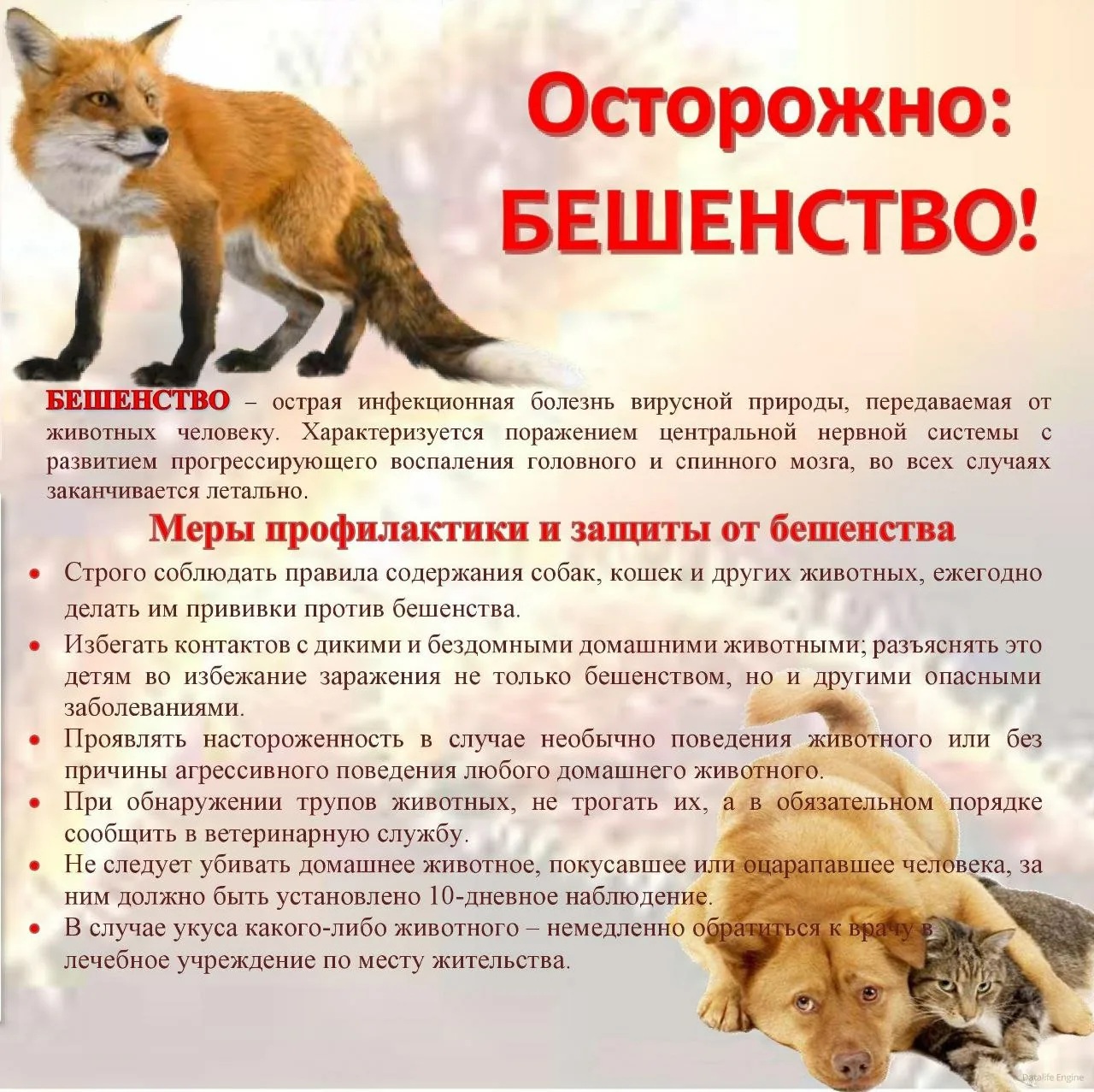 Pamtyaka_Novosti