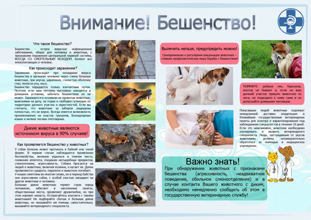 Памятка 2
