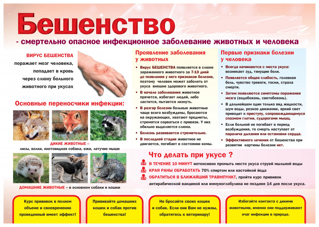 памятка 1